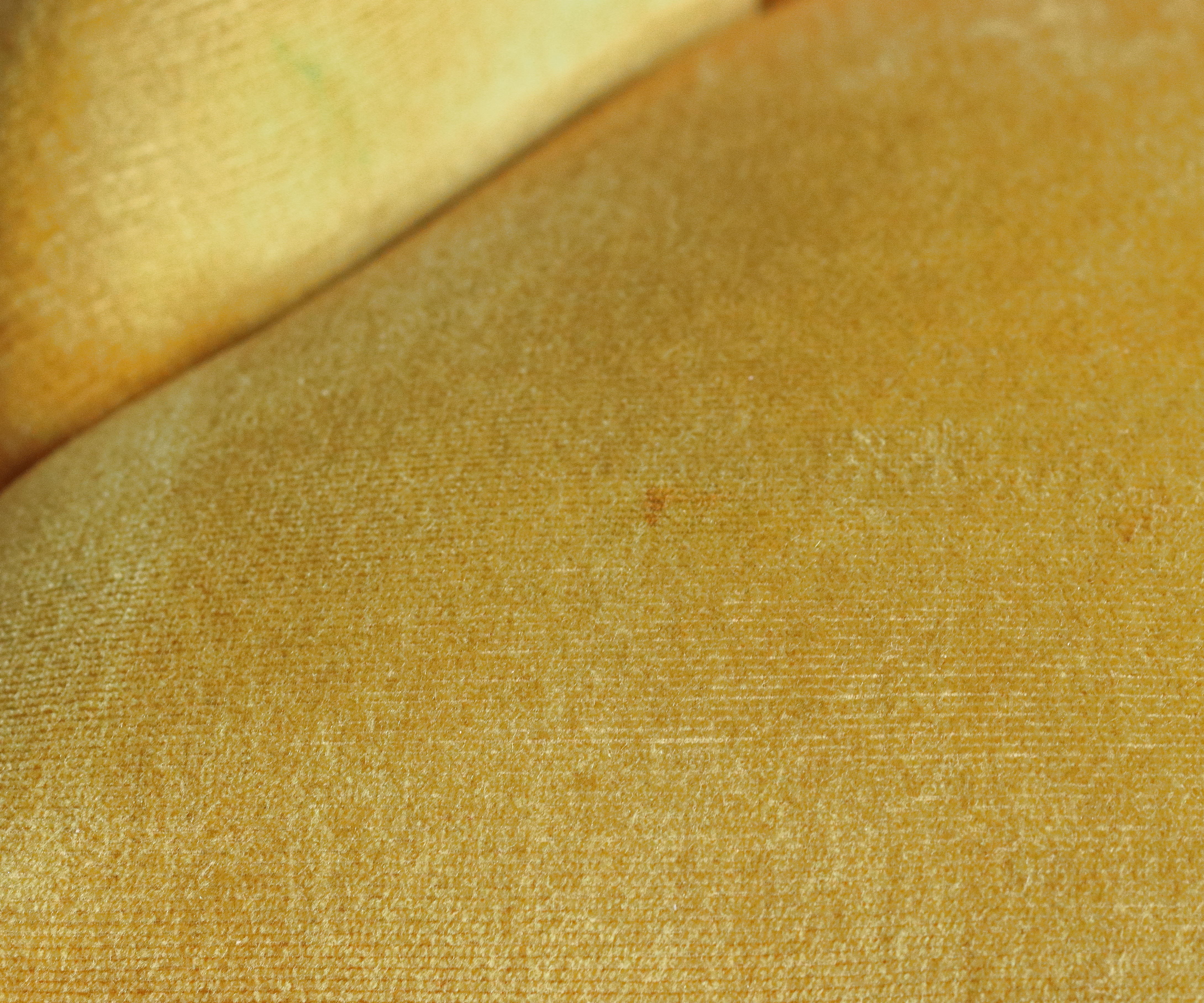 Mustard yellow velvet padded toad chair