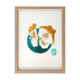Bégonia - 13 x 18 cm - série fleur hivernale
