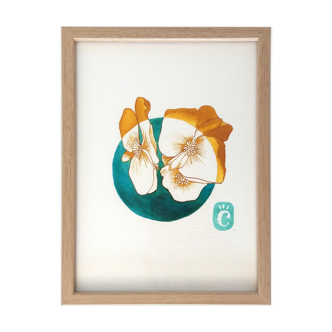 Begonia-13 x 18 cm-winter flower series
