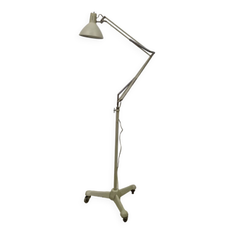 Model t3 medical floor lamp by Hala, Netherlands 1960s