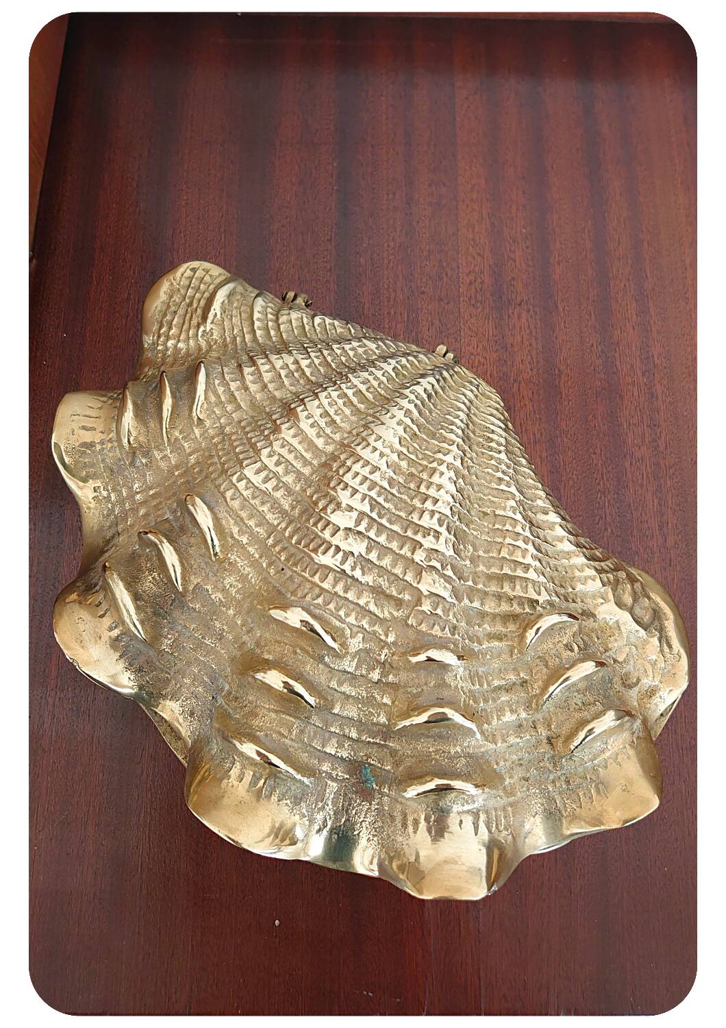 Boîte à coque en laiton moulé