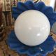 Shell lamp