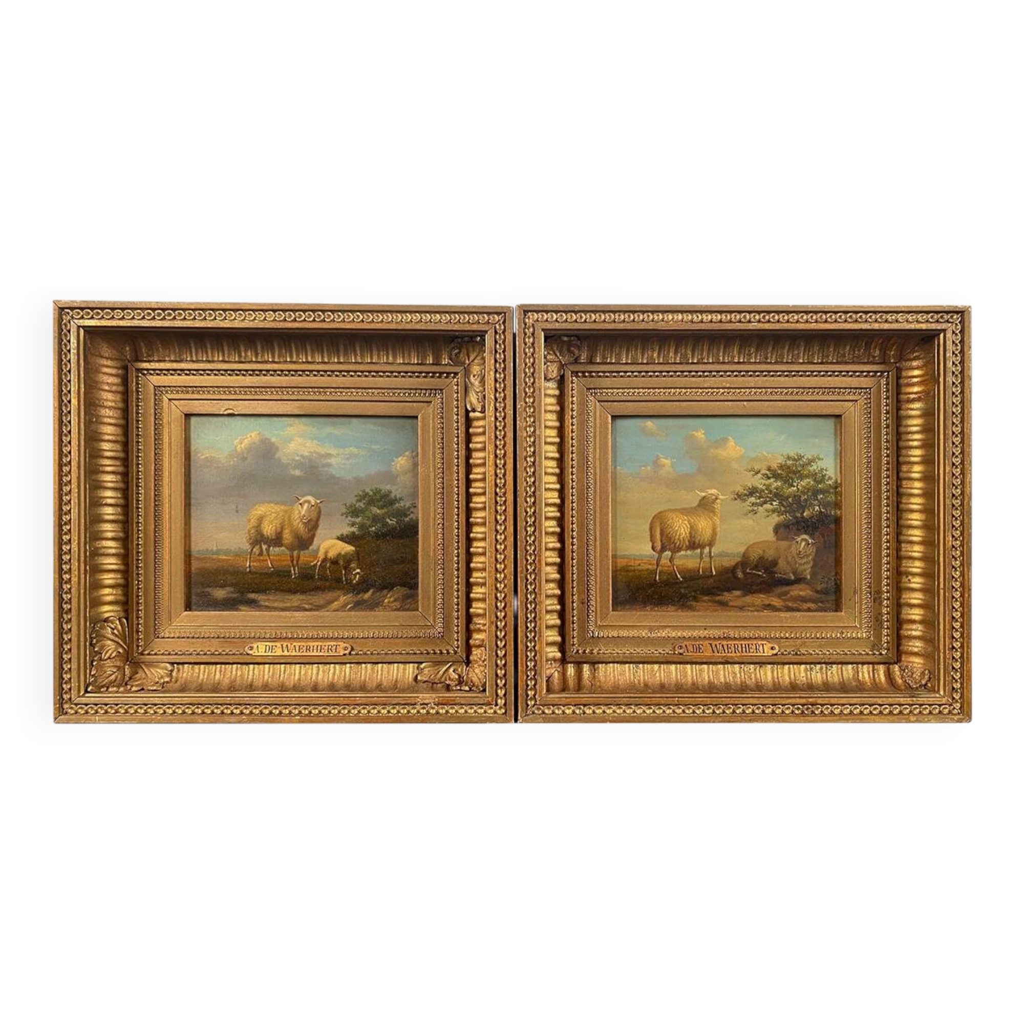 Arthur de waerhert (1881-1944). "sheep", pair of oils on panel.