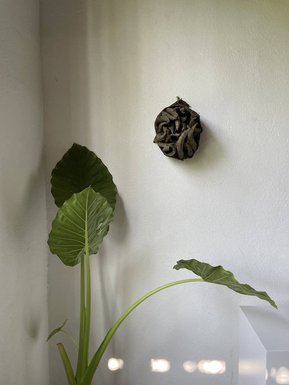 Bété Nyabwa mask Ivory Coast