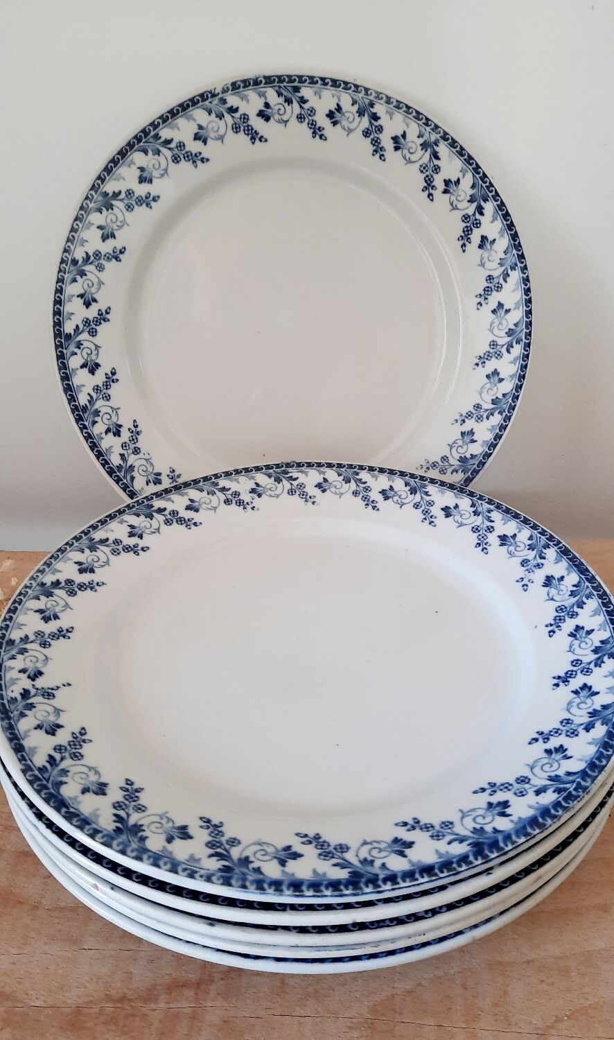 Flat plates Terre de Fer Montigny