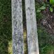 Old garden bench cast iron foot