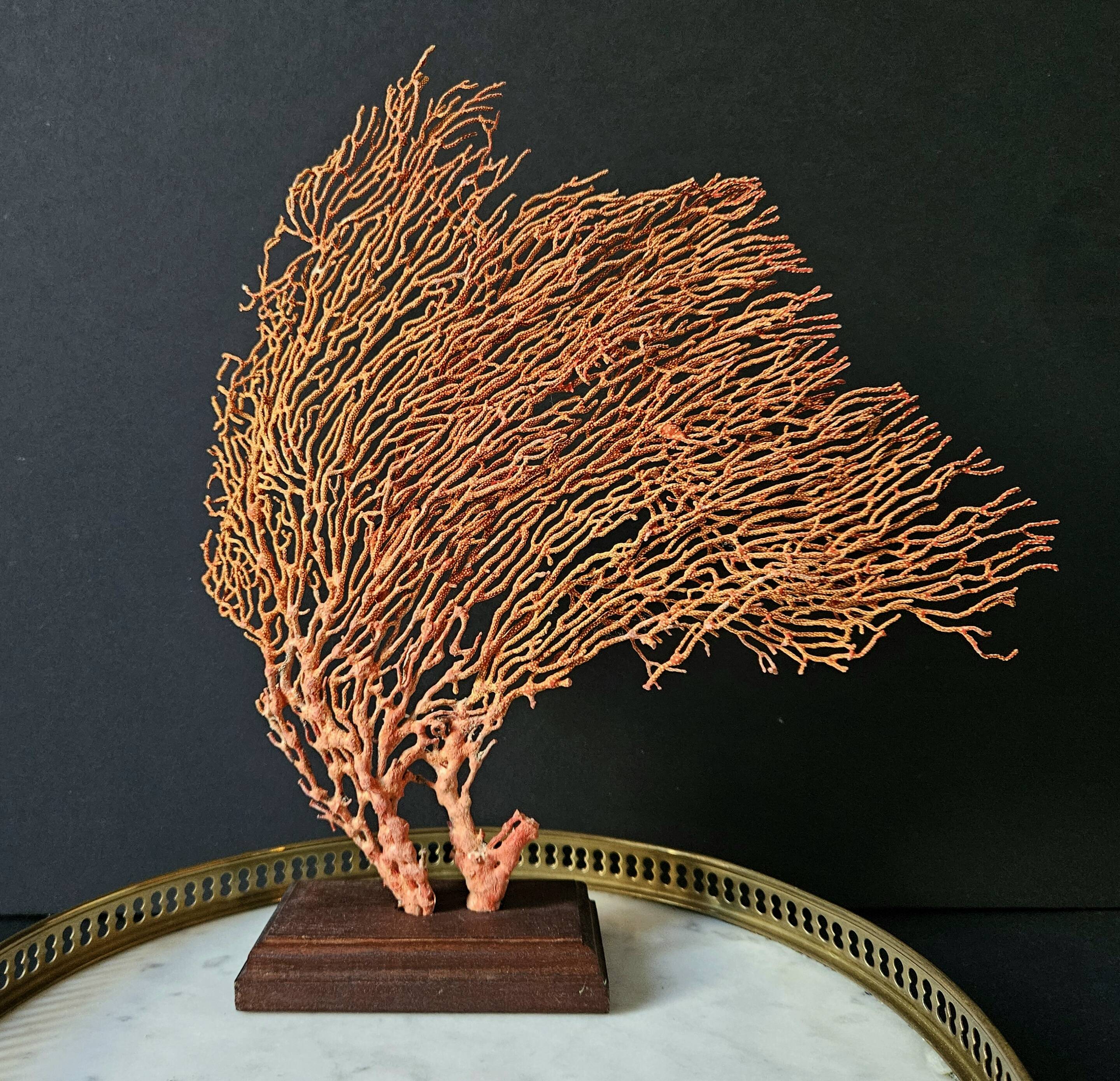 Red Gorgon Wooden Base. H: 32 cm | Decorative Object & Curiosity