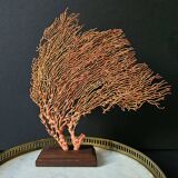 Red Gorgon Wooden Base. H: 32 cm | Decorative Object & Curiosity