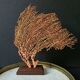 Red Gorgon Wooden Base. H: 32 cm | Decorative Object & Curiosity