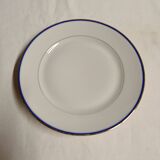 15 assiettes en porcelaine de Limoges