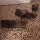 2 cast iron chenets