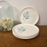 Set of 5 flat plates Sovirel