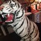 Ceramic large white tiger