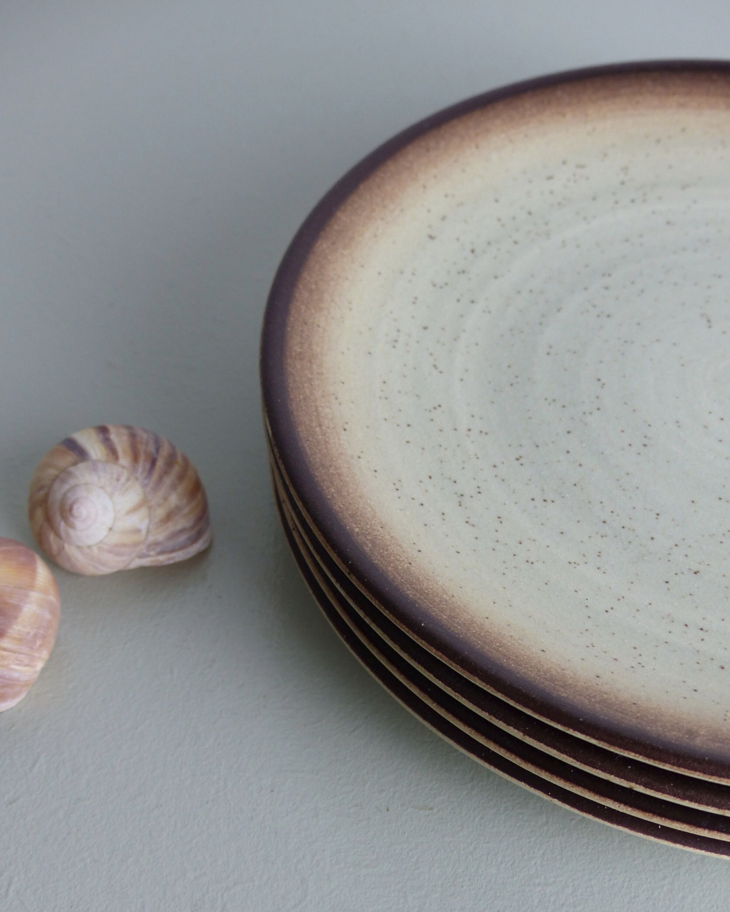 Set of 4 flat plates in speckled sandstone