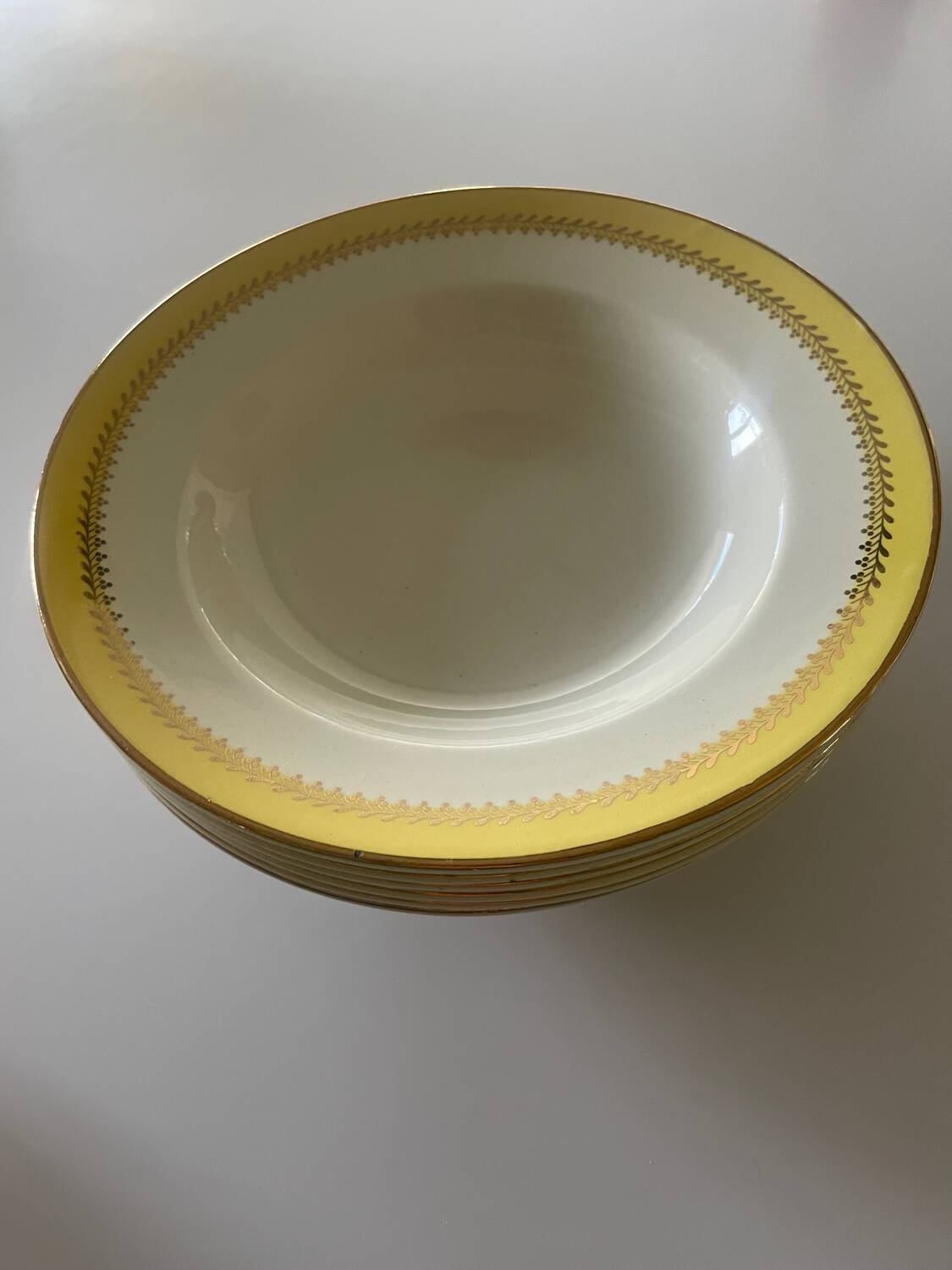6 Biarritz earthenware soup plates