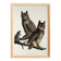 Poster for "Spectacled Owl", based on an old engraving from 1827.