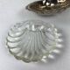 Scallop butter dish