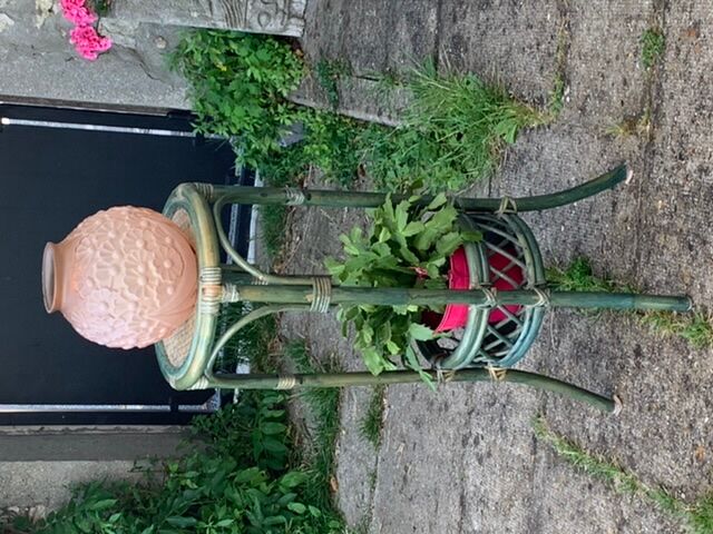 Guéridon harness carries plant in rattan and green bamboo vintage 1970