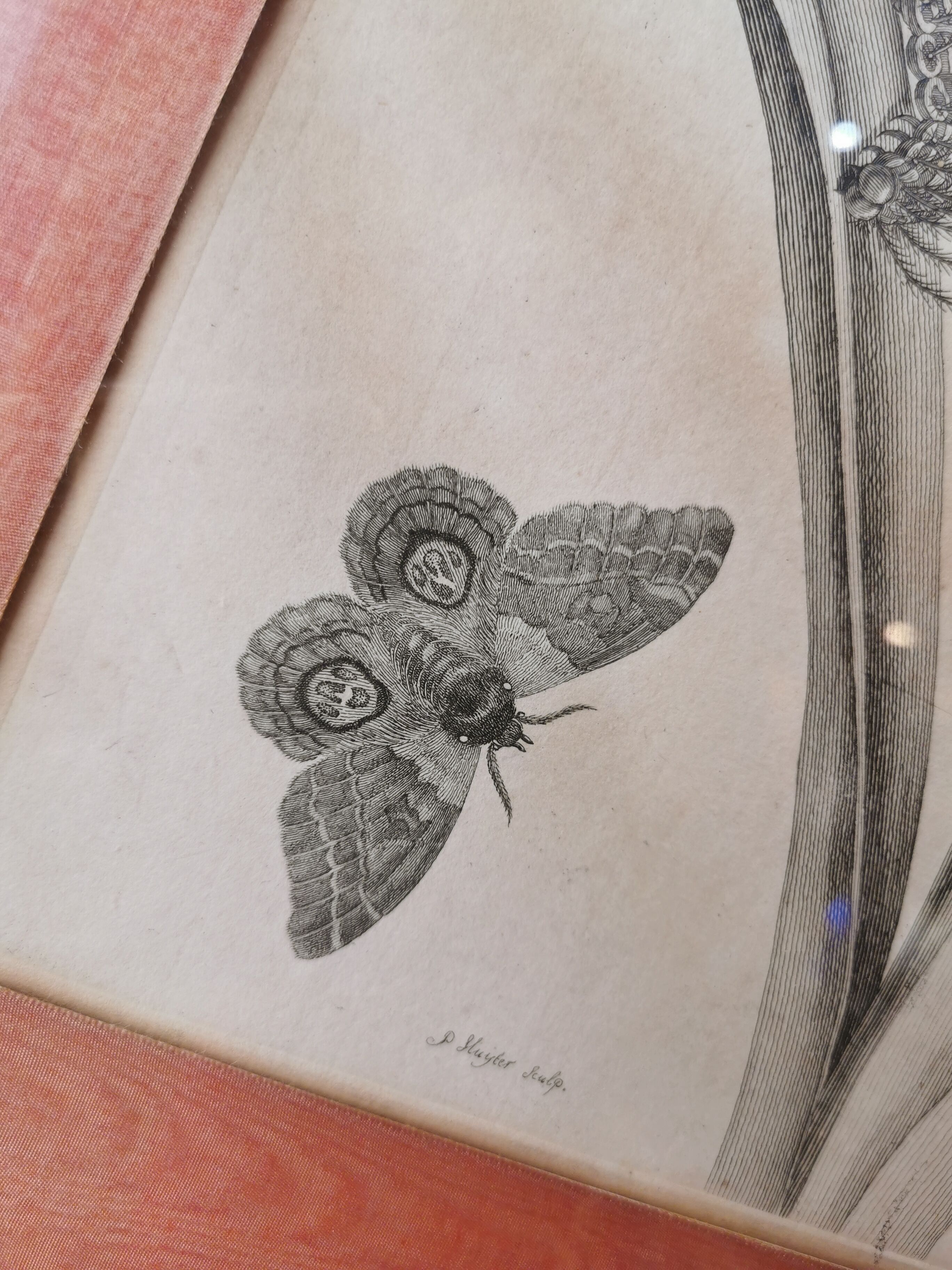 13th century engraving