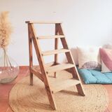Old stepladder