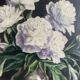 Tableau Ancien -peinture à l’huile - les Pivoines Blanches