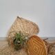 Plant holder in rattan and vintage bamboo