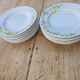 13 Richard Ginori flat and deep plates