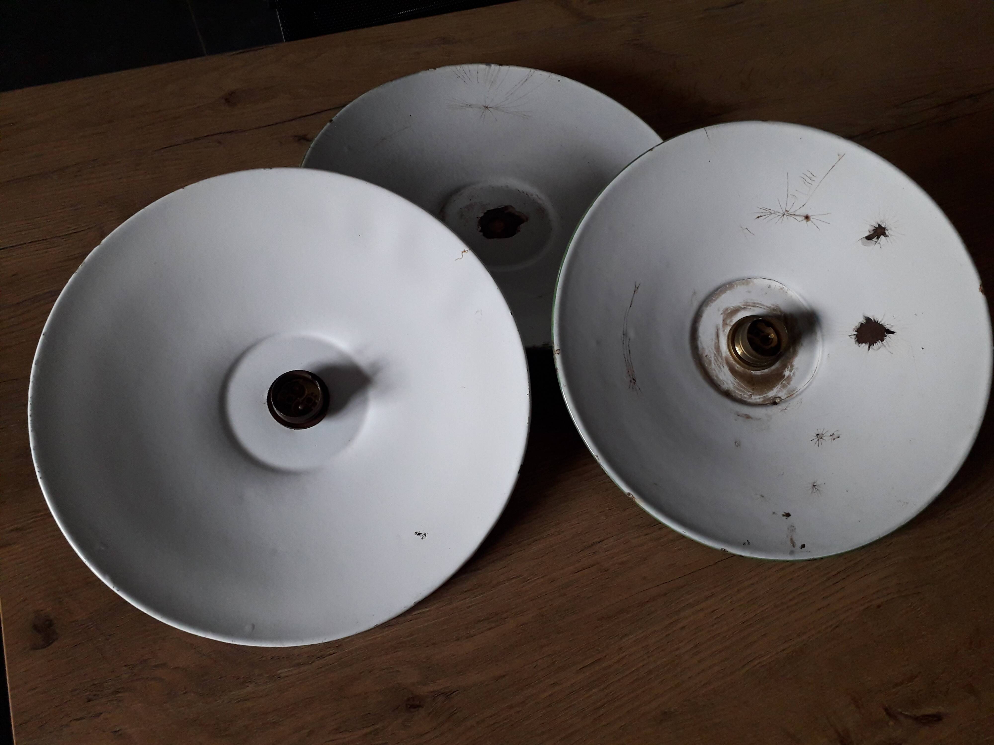 Ancient days offal in enamelled tole