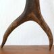 Paire de bois de cerfs années 70
