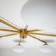 Lustre canopy stella collection