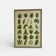 Large shabby chic botanical frame – Vintage poster leaves