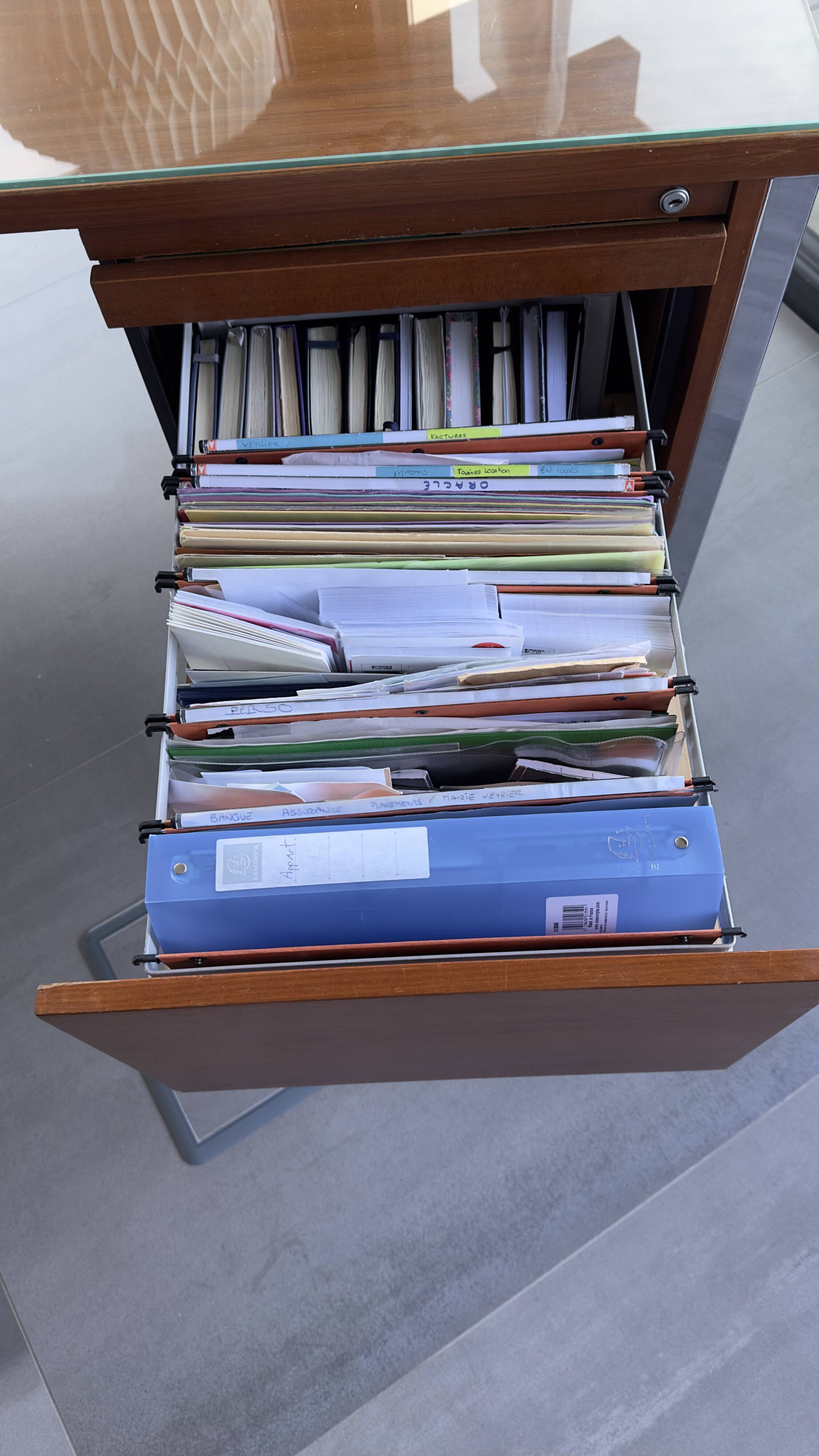 Georges Frydman office