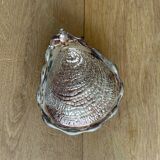 Empty pocket - shell