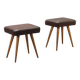 Pair of vintage stools from the 1950s.