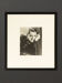 Cary grant, portrait des années 1930
