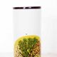 Vintage vase "4 saisons"