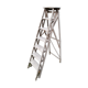 Old ladder