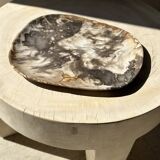 Very large pocket or dish in petrified wood