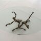 Salvino marsura vintage bronze handcrafted trinidad brutalist coffee table, 1960