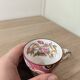 Sarreguemines Minton 216 cup and saucer
