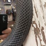 Convex mirror in black resin snakeskin effect 22cm
