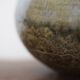 Japanese vase