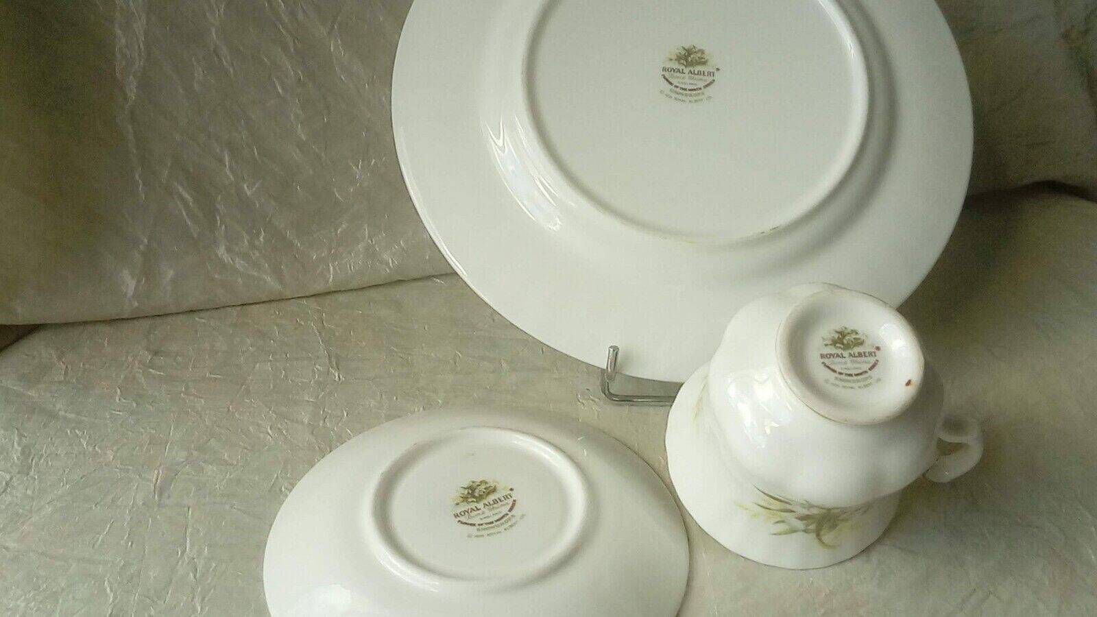 Coffee tea cup dessert plate november royal albert chrysantheme decor