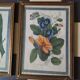 3 paintings on rice leaf ancient China chinese painting