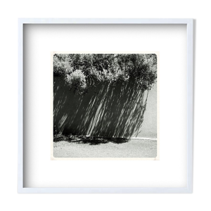 Photo d'art en tirage