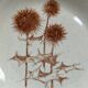 4 assiettes creuses Sarreguemines "Chardons"