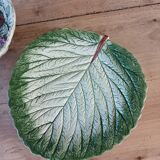 Flat slushie set and strawberry drainer