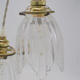 Pair of glass pendant lights
