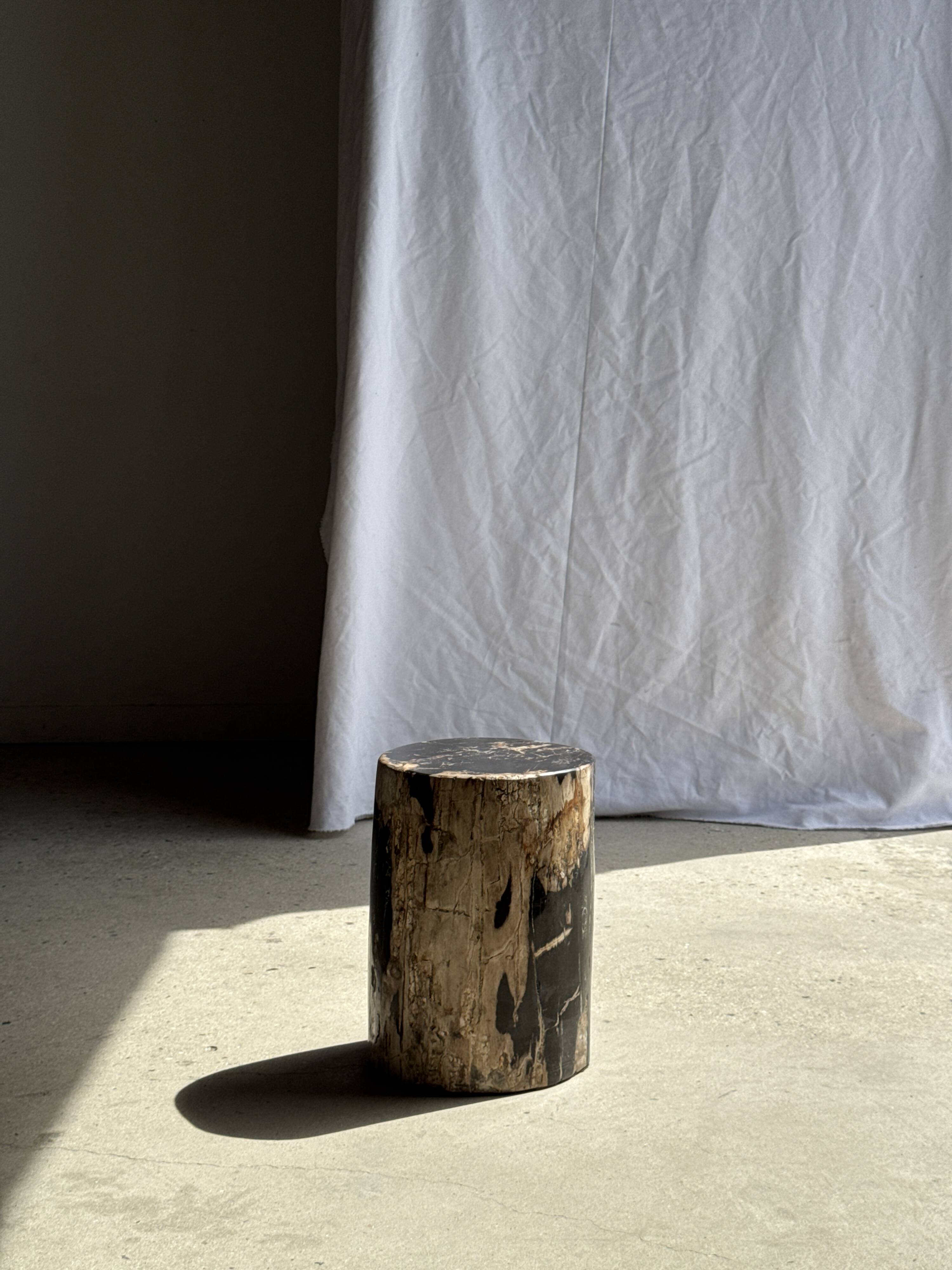 Black petrified wood side table with beige side H35 D24 - 3352