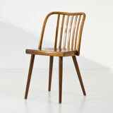 Set of 4 chairs by A. Suman from TON, 1960s